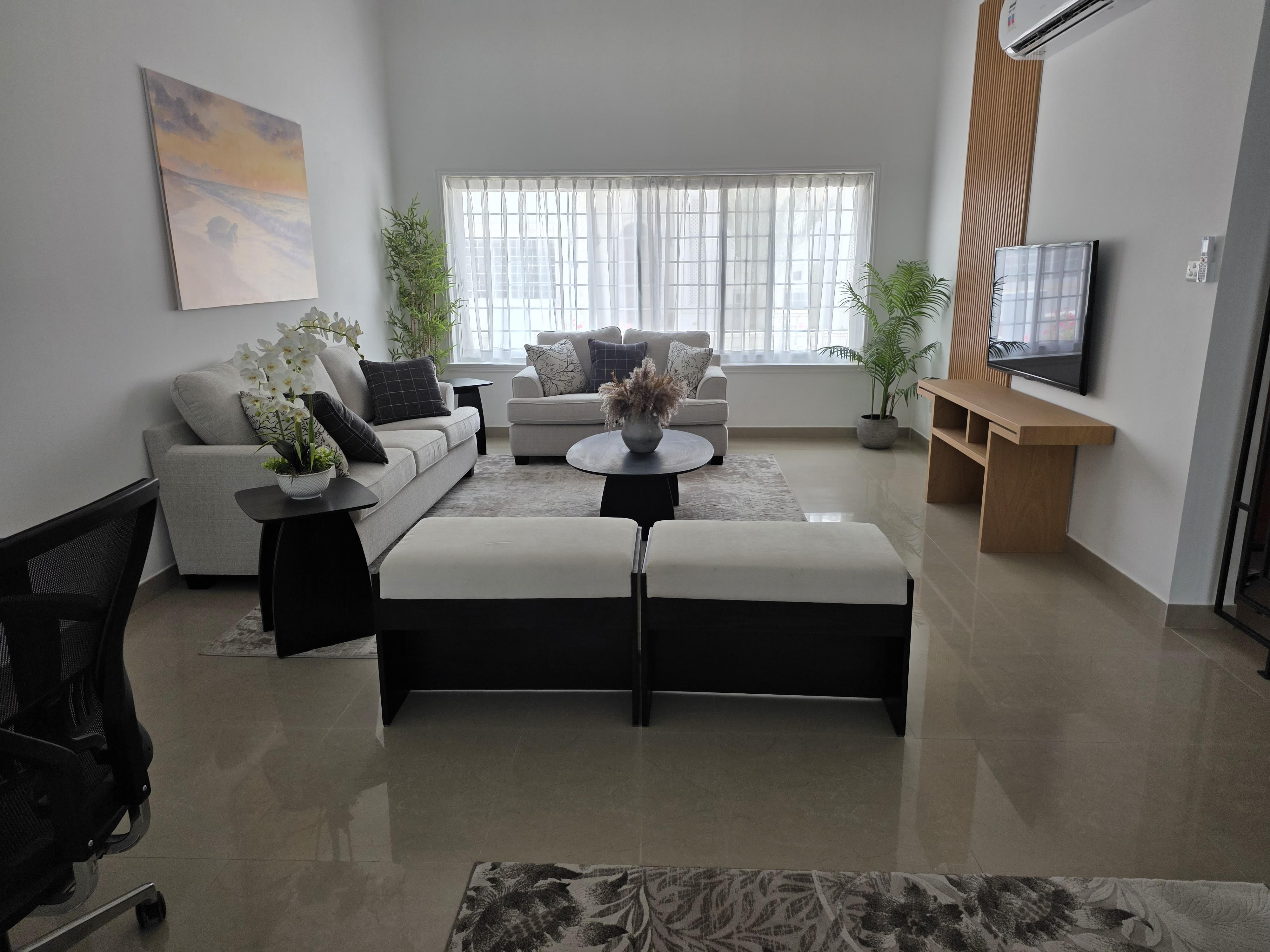 Front desk area with a dark wood counter, backlit shelving and eclectic decor.